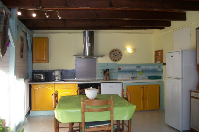 2024_cugnet_hirondelle (5) (Copier)