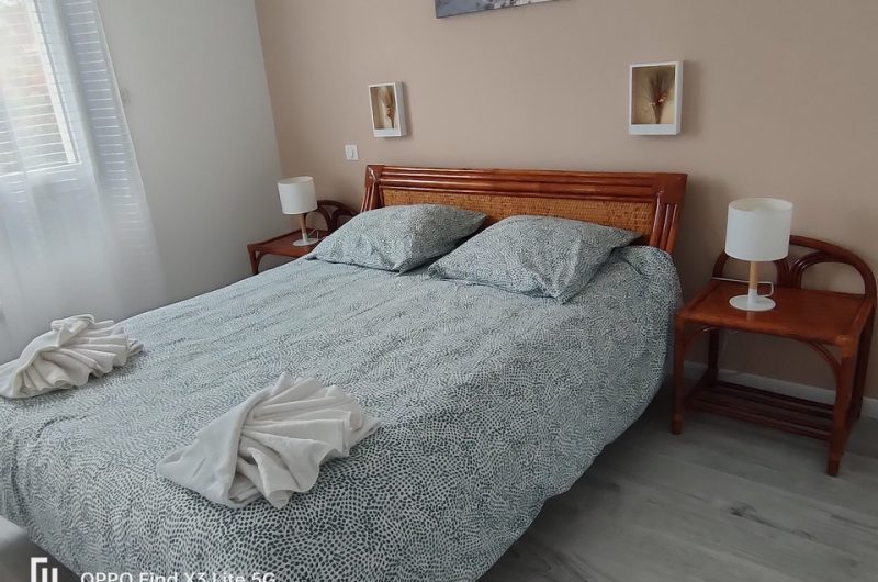 2024_dugied (4) (Copier)