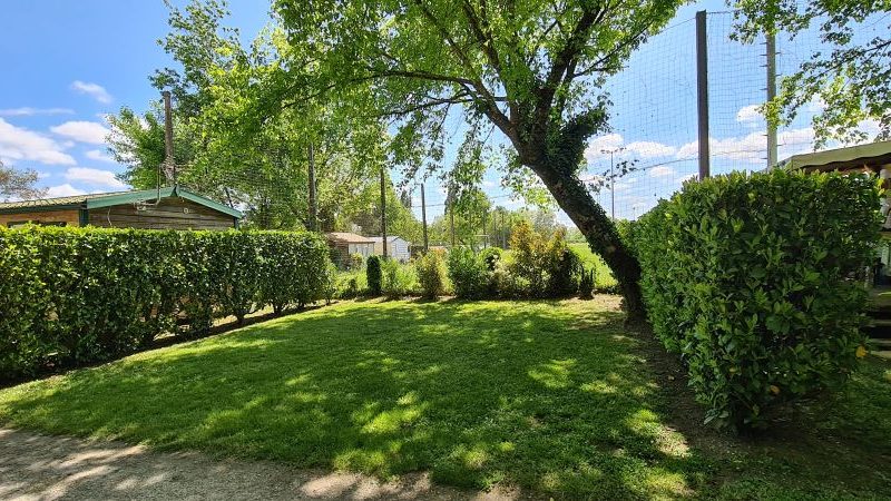 20240420_130247-1732800968263