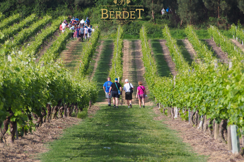 2025 – BOUR – Domaine de Berdet – Rando des vignes – ©Domaine du Berdet (2)