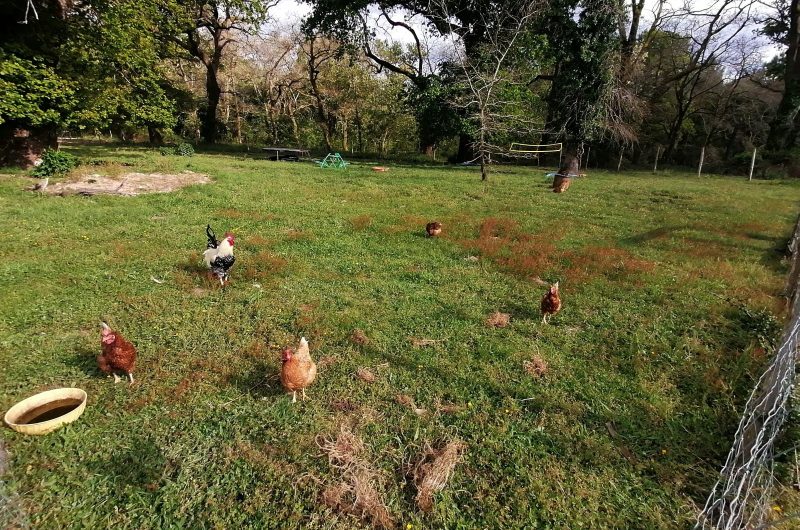 2025 – CACH – Un refuge à Cachen – Extérieurs – ©Virginie BARBEAU (2)