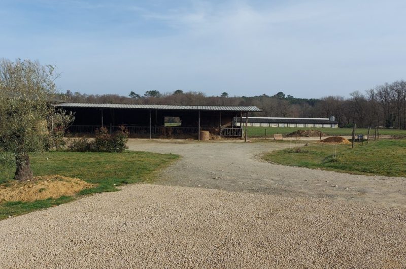 2025 – LABA – Cuisine de Lacoustète – Ferme – ©OT Landes d’Armagnac – MS (1)
