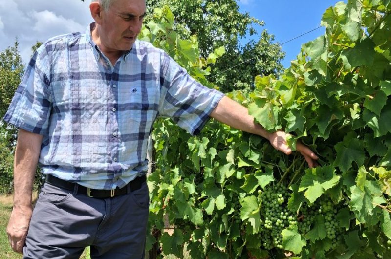 2025 – LABA – Visite de la Ferme de Labouc – ©OT Landes d’Armagnac (39)