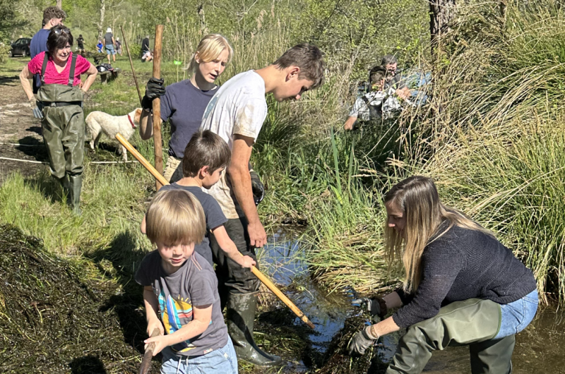 2025 arrachage véro