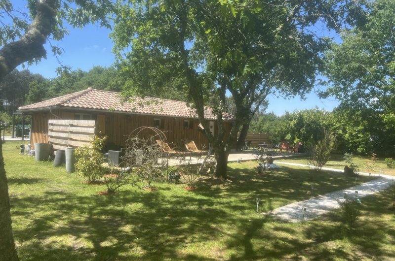 2025_maubourguet_patrick3 (Copier)