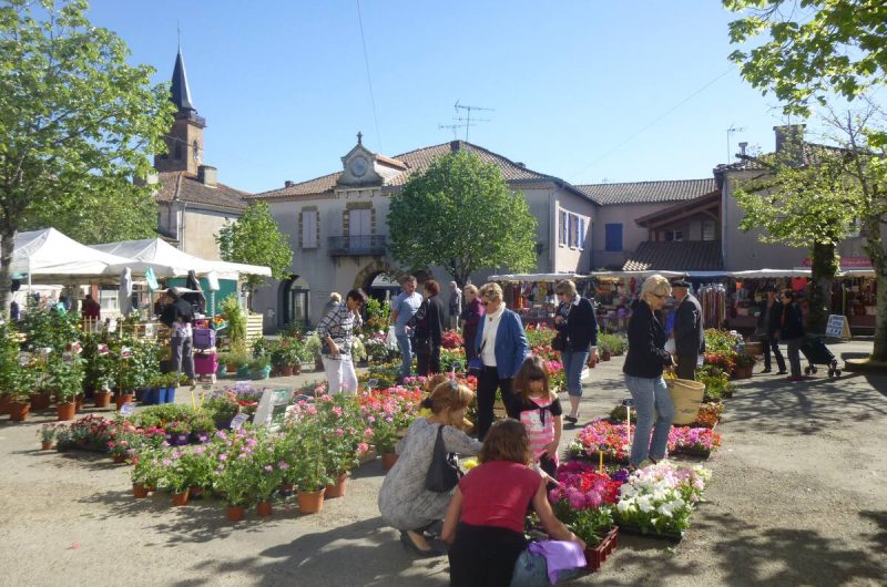 2026 – VILL – Gîte les Écureuils – Marché hebdomadaire – ©Alain Serres
