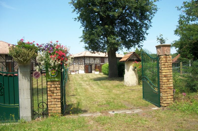 2026_cugnet_hirondelle (1) (Copier)