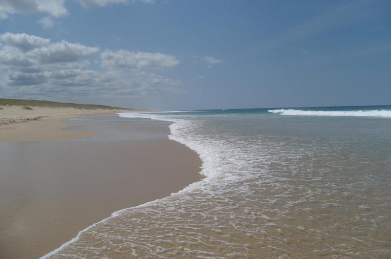 2026_larriau7 (Copier)