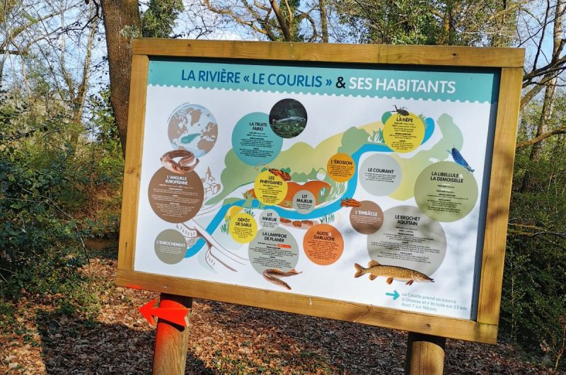 A Mézos, parcours pédagogique du Courlis