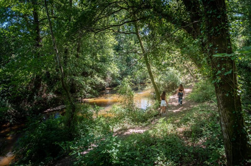 A Mézos, parcours pédagogique du Courlis