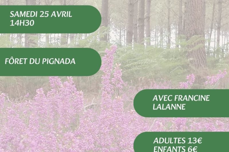 Visites, balades de l’OT – 3