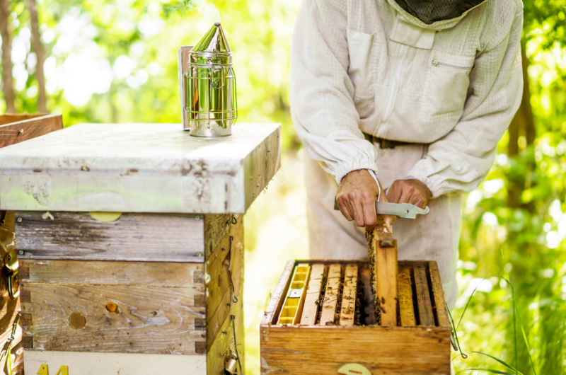 photo activité – 3