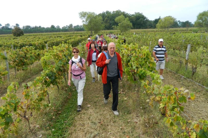 3-Saintjustin balade vigneronne