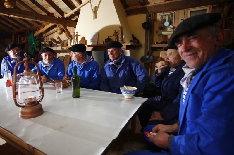 3-resiniers-bisca-foret