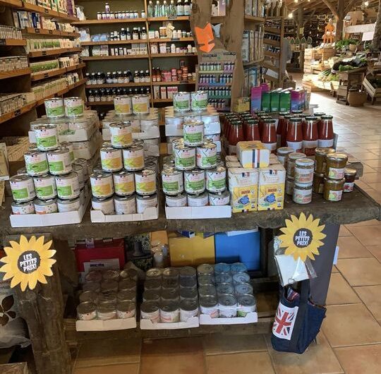 337411364_238055361916198_9049998669883531302_n_720