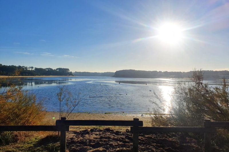 380811-20_10852_ed2f285480c766072d266cad14df3a51