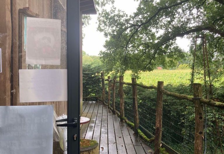 457430314-437161369337536-652365345354846677-n