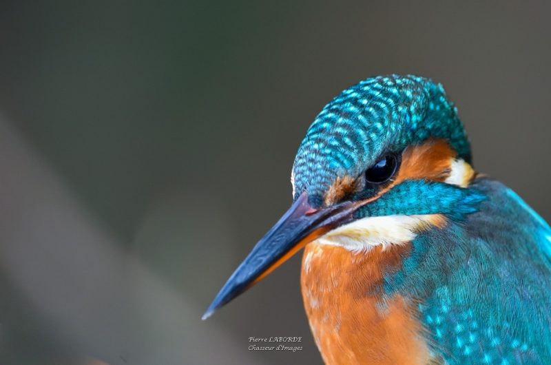 484902917_965923035646082_3927409159386783662_n