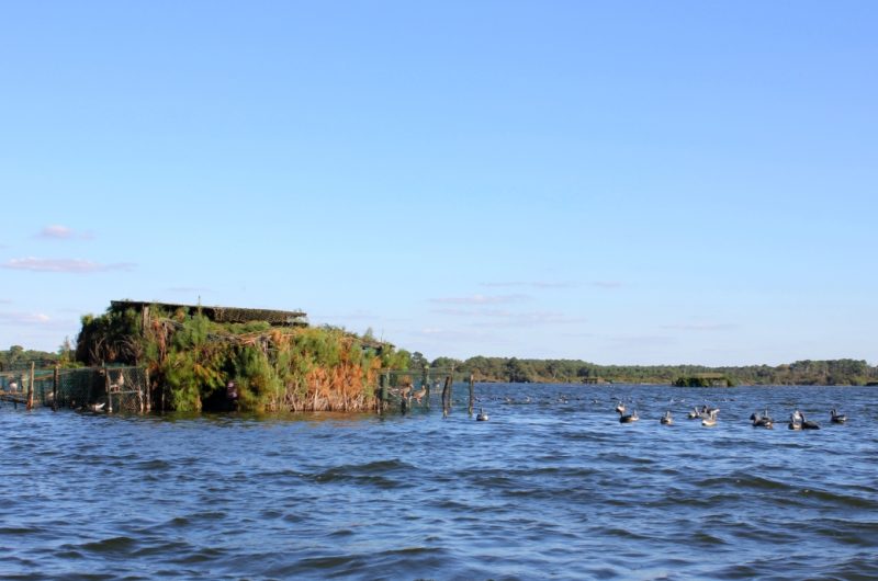 5-barque–Seignosse-Tourisme