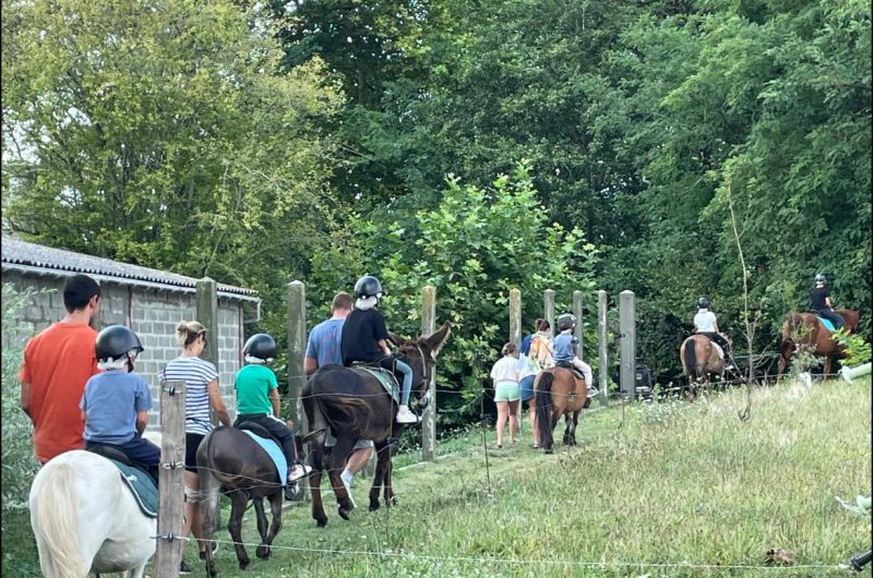 536283529_122293661780006796_1176591087412750645_n