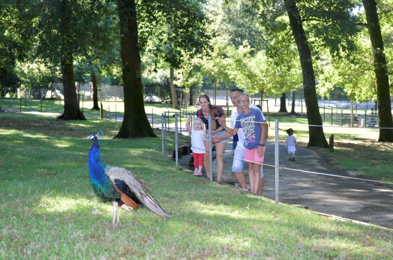 667549-parc-animalier-de-nahuquesgilles-arroyo-105