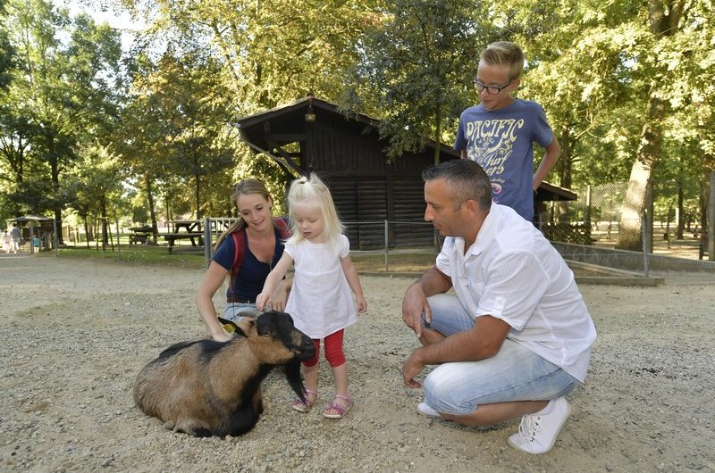 667550-parc-animalier-de-nahuquesgilles-arroyo-127