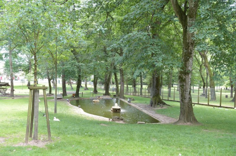 667552-parc-animalier-de-nahuques062017gilles-arroyo-61