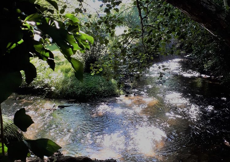 667659-site-de-castetscarine-couerbe-49r