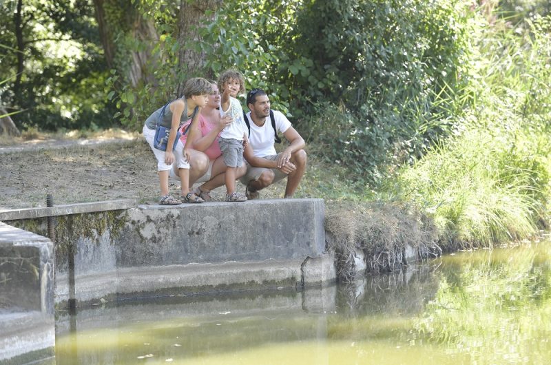 667660-etang-de-massy-gailleresgilles-arroyo-31-r