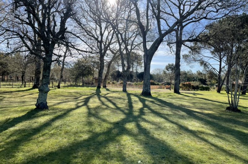 71E47D13-C081-41EF-B5E1-92A396EA92C1_1_105_c