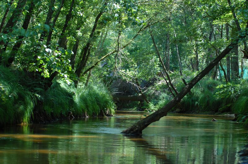 736632-photosanscanoe