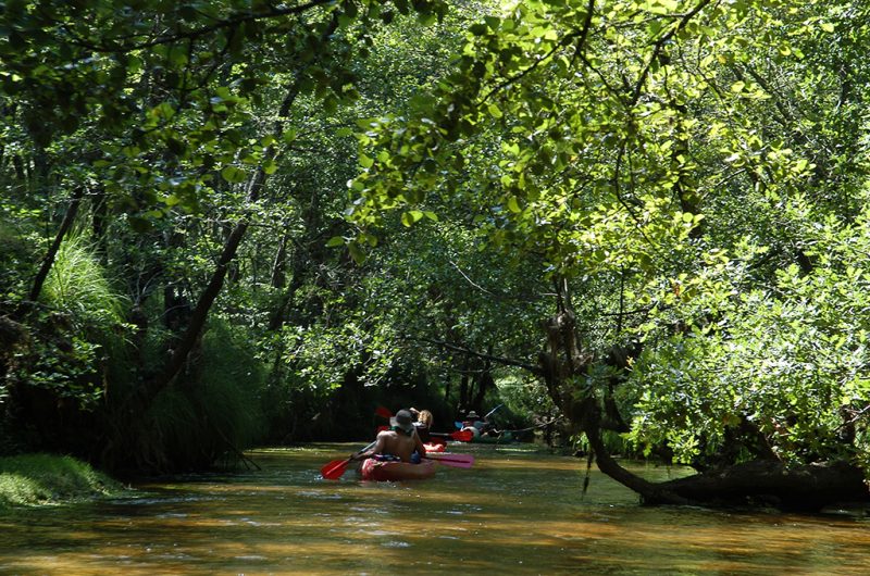 736633-photosansgilet