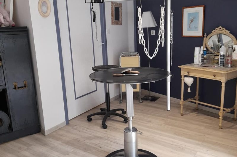 737470-241750673-3027970790779222-2197299285800839483-n