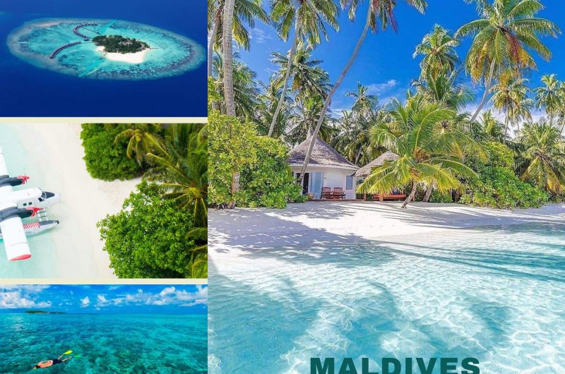 738505-256527803-647149226693729-6010762673975012626-n