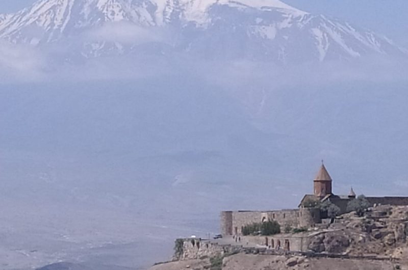 738508-287512210-787292382679412-9143636390444838165-n