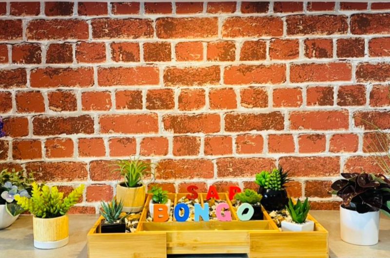 744974-301653192-509913917801190-1451094911624800981-n