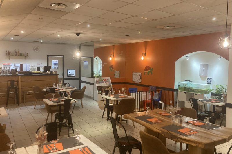 772831-327904361-6164623656901614-2679984513413004576-n