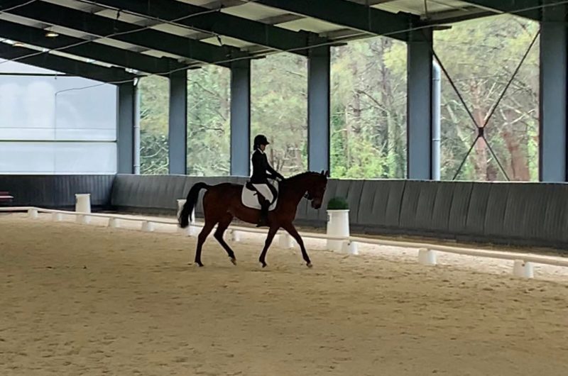 781407-342338312-574649188145416-3728031796484131532-n