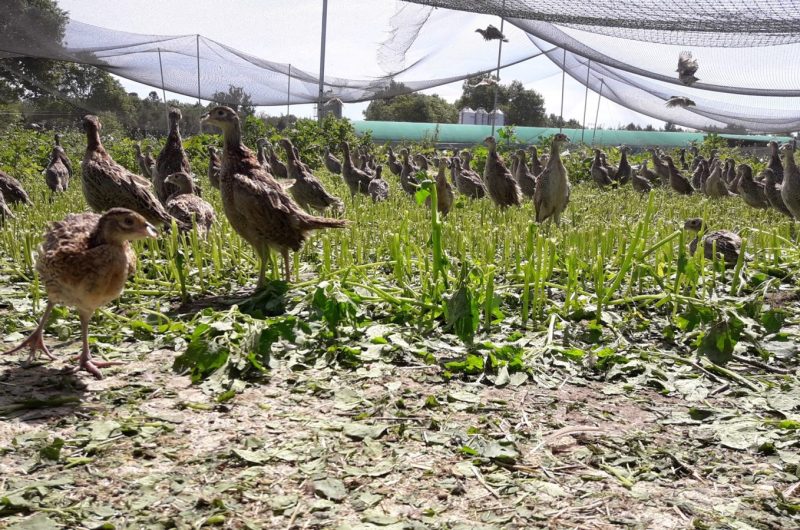 781415-59361955-2038551542922701-2350581630541758464-n