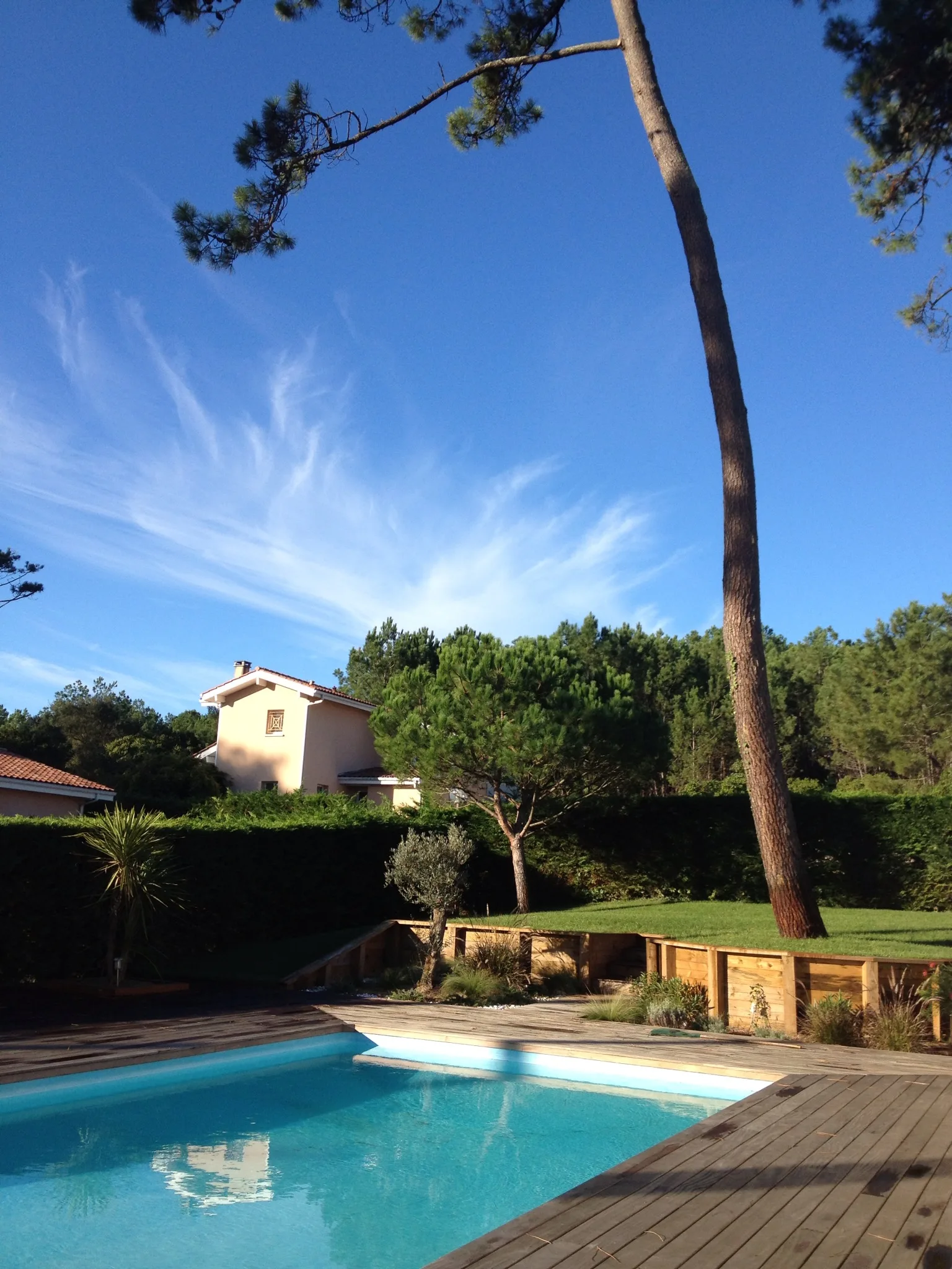 818—Vue-Piscine-Jardin