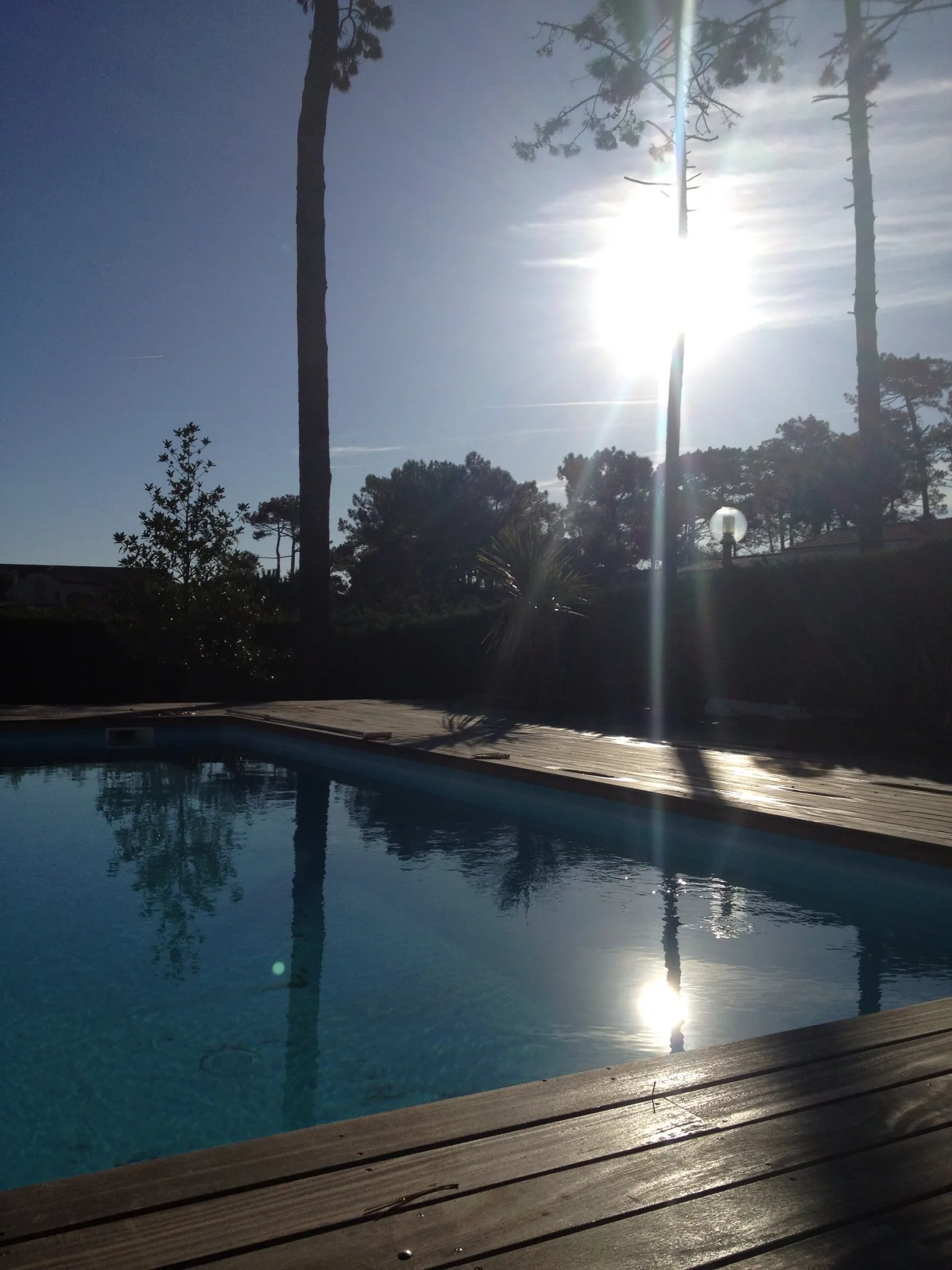 818–Vue-Piscine-ensoleille