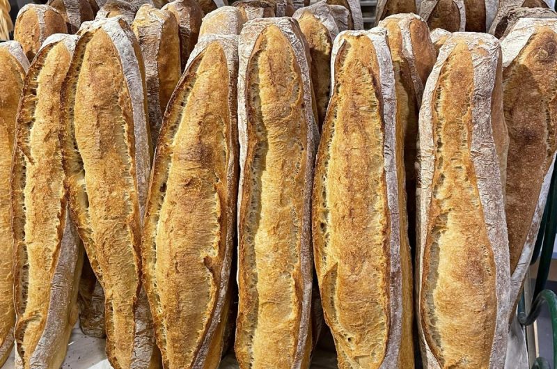 841670-480416550-122192116388155203-688467245320787795-n