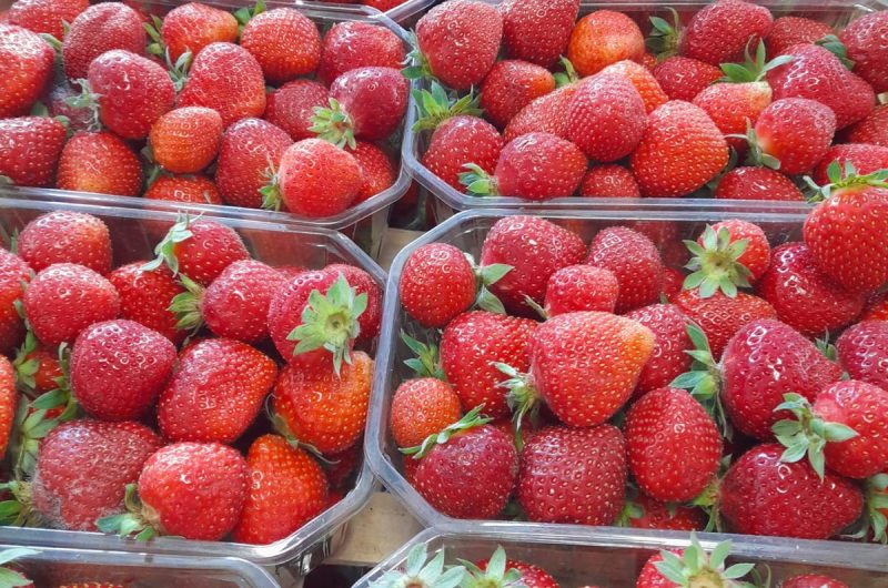 858340-287422555-2101296100044475-8801581901914583606-n