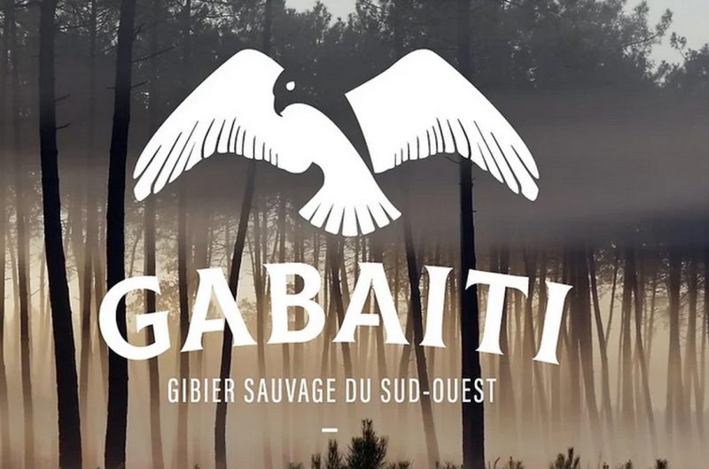 860186-logo-gabaiti