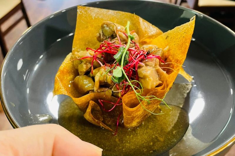 861318-480792937-652924303937016-1564929851583430261-n