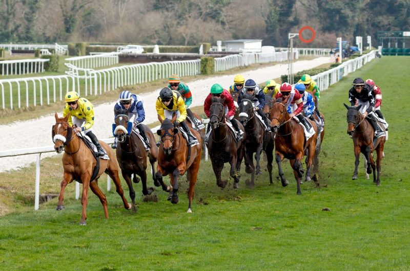 865032-hippodrome3-16032025asac-ba118-photo-club