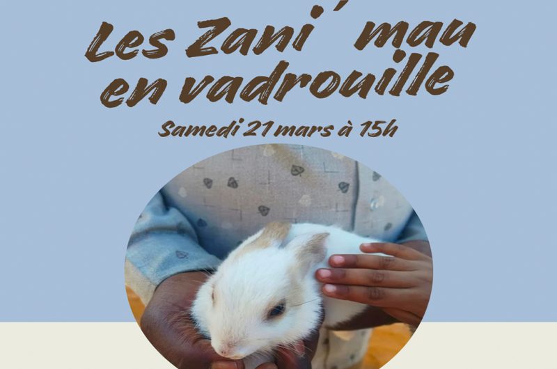 865243-zanimaux