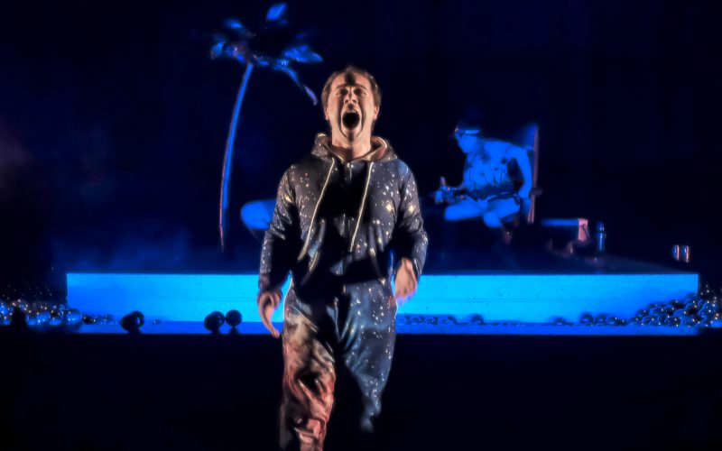 866187-le-poids-des-fourmis-2