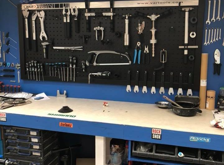 866345-482030545-1833888790778481-5936933967813085592-n