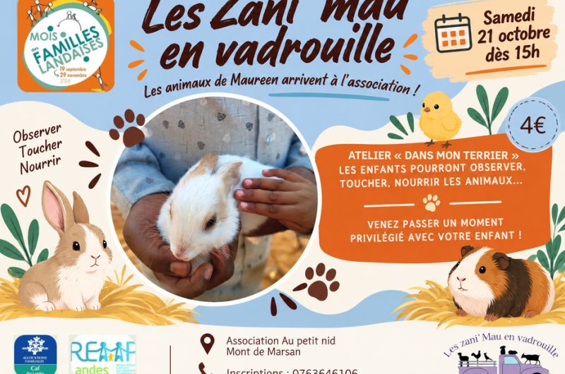877458-les-zani-mau-en-vadrouille-926×683